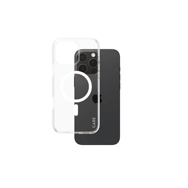 CARE, Flagship Case