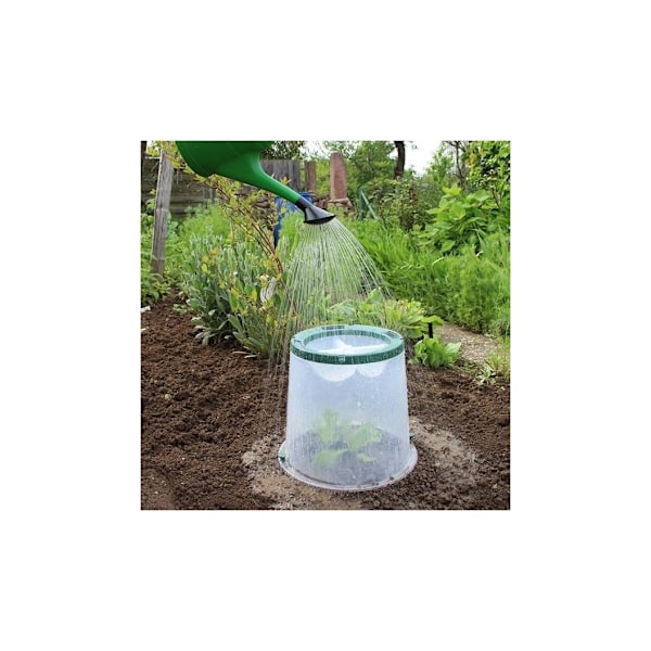 SOLNY tvingende cloche Transparent