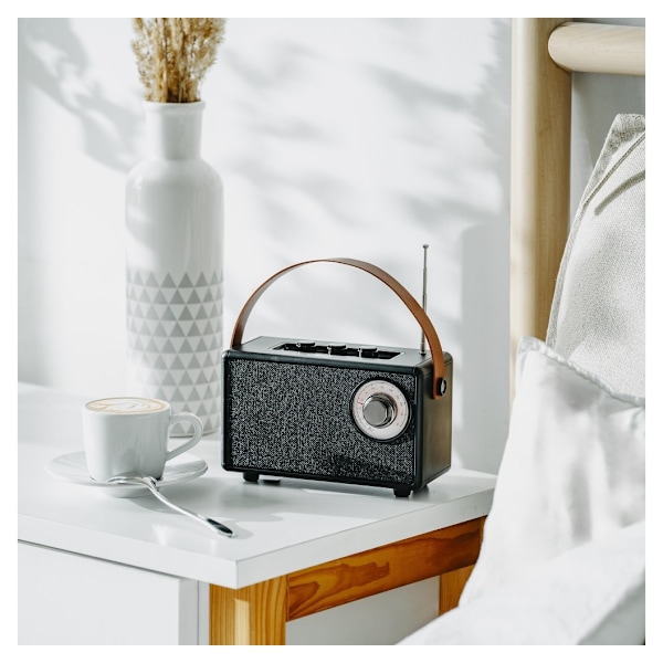 Camry, Högtalare med radio, CR 1902 B