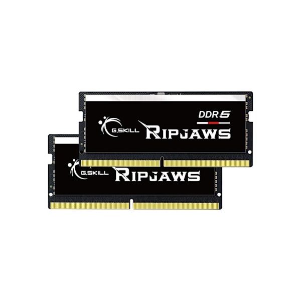 G.Skill, Ripjaws