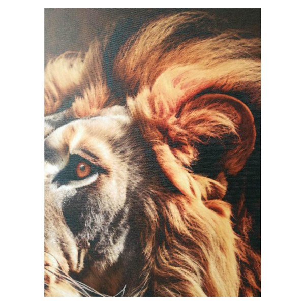 Väggkonst WALLY 50x70cm, lejon