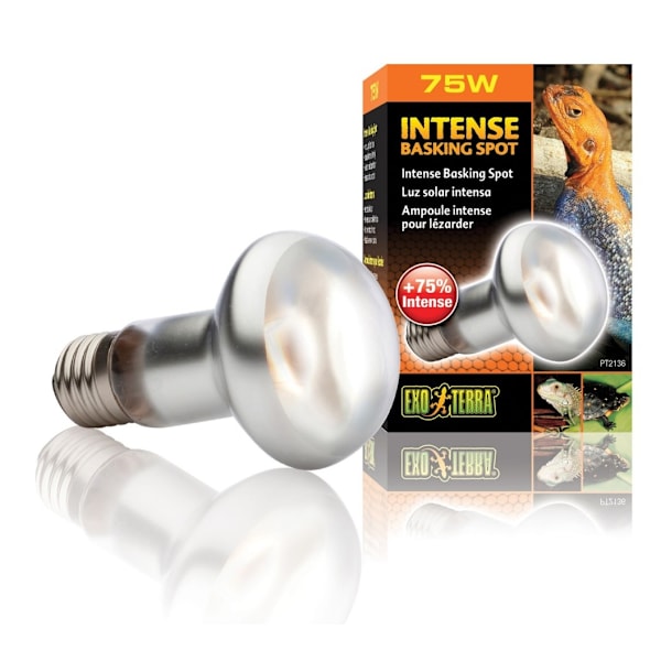 Terrariumlampa Intense Basking Spot S20 75w PT2136
