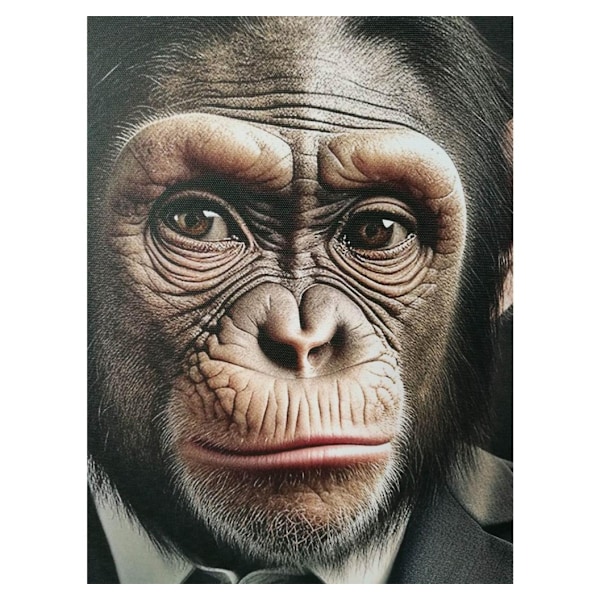 Seinätaide WALLY 50x70cm, Mr. Monkey