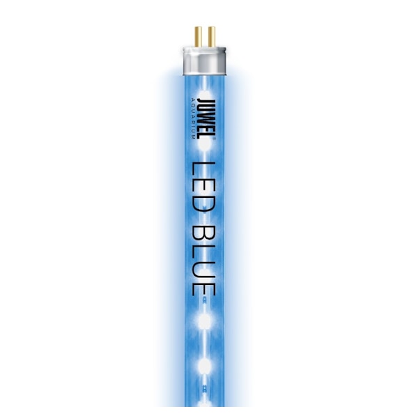 Lampe LED Tube, blå 19W 742mm