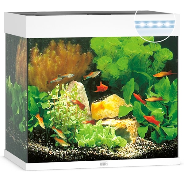 Aquarium Lido LED 120 L vit