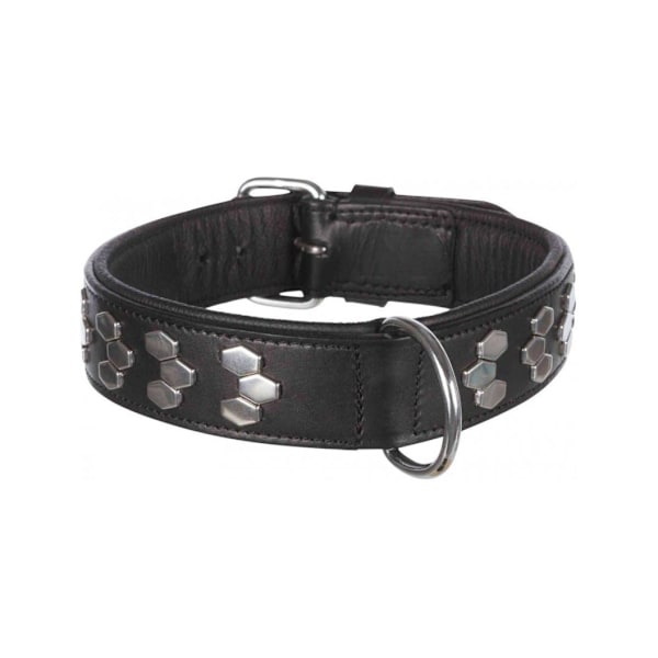 Aktiv krave med nitter, L: 48–55 cm/40 mm, sort