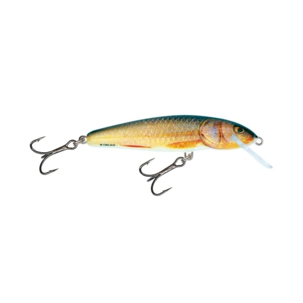 Viehe Minnow 9F 9cm/10g/0,8-1,2m RR