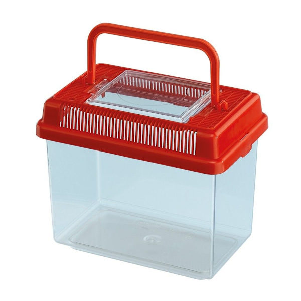 Plast terrarium Geo, lite, 18x11x14/1L