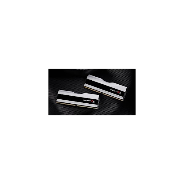 RAM, F5-7600J3848F24GX2-TZ5RW, G.SKILL