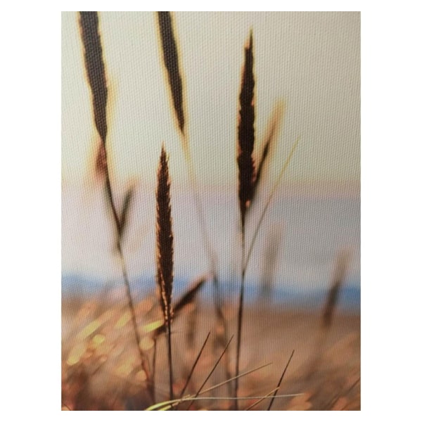 Väggkonst WALLY 30x90cm, rusar