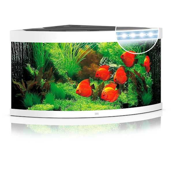 Aquarium Trigon LED 350 L valkoinen