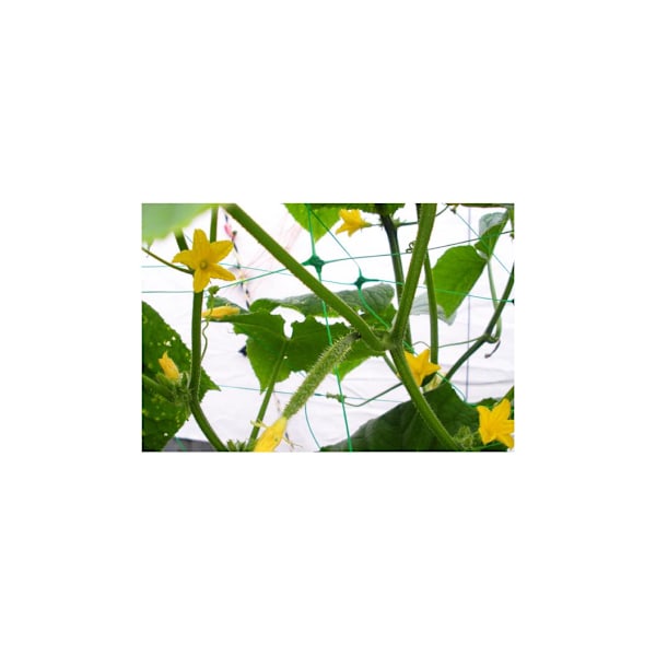 PLANTENET 8g/m2 15x17cm 1,7x100m