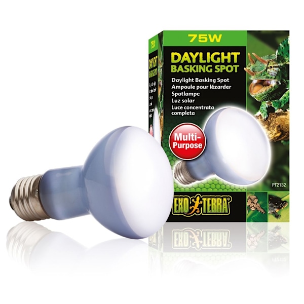 Terrariumlampe Daylight Basking Spot R20 75w PT2132