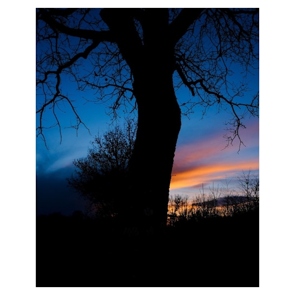 Fujifilm X-T50 krop, sort
