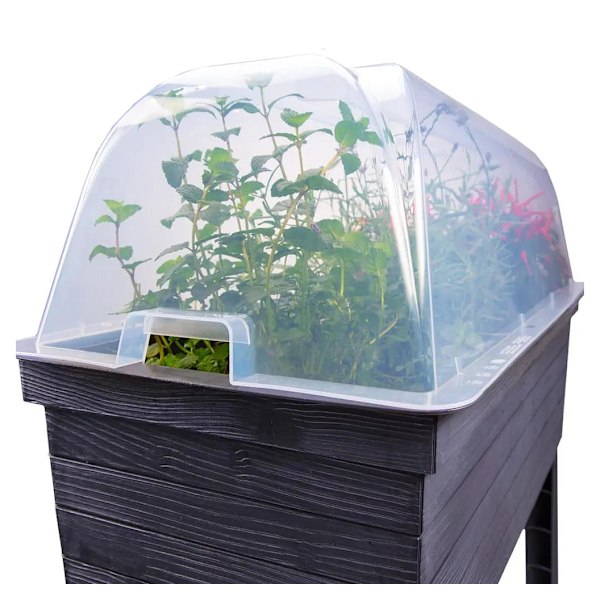 Urban cloche deksel