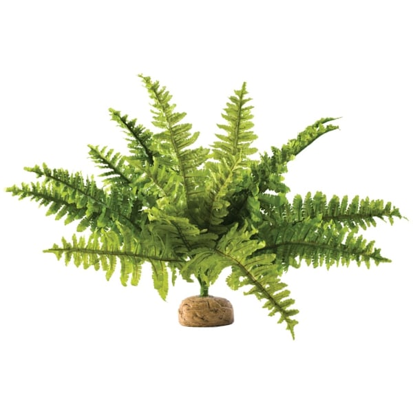 Terrarium dekorasjon Boston bregne, medium, EXO TERRA