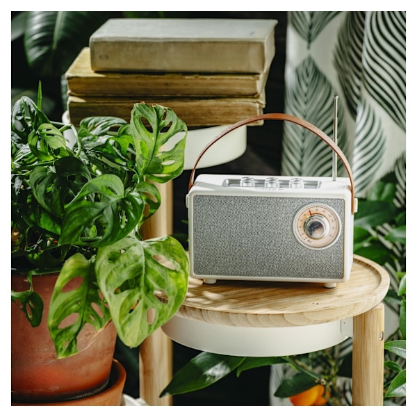 Camry, Högtalare med radio, CR 1902 W