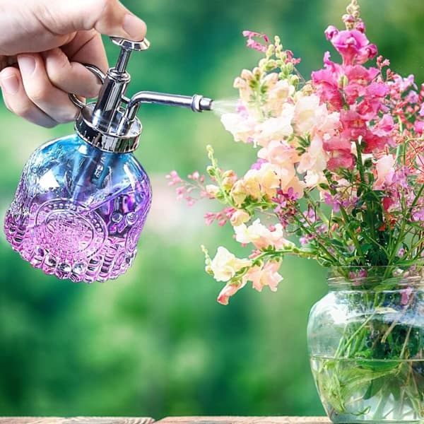 Glass Water Spray Bottle for Plants, 200ml Retro with Top Pump, Mist Sprayer