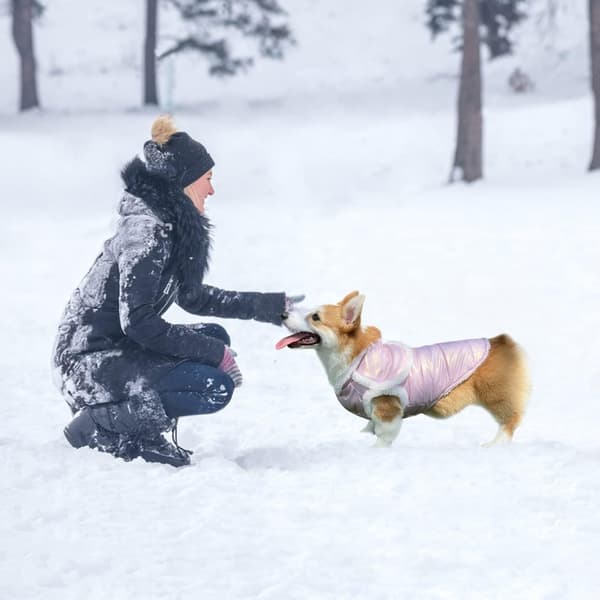 Vanntett Vinter Hundejakke Kåpe Varm Hundejakke Vindtett