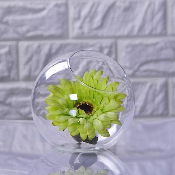 Klar glasvas fiskbål planter terrarium behållare hydroponisk dekor