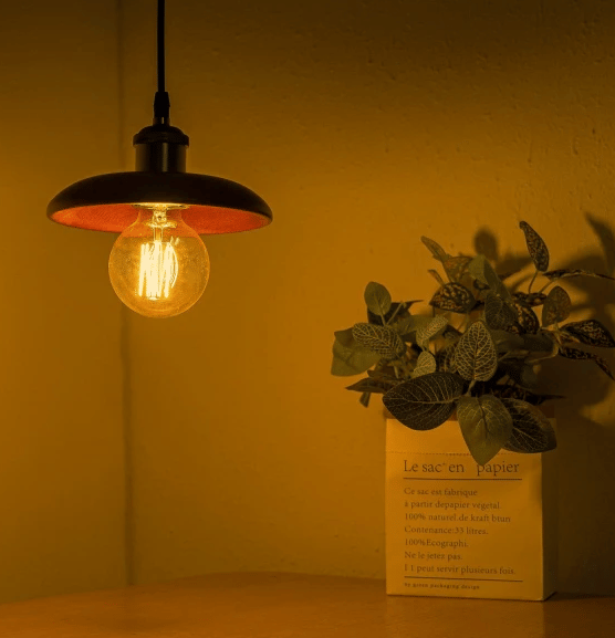 4-pak Vintage Edison Pærer - Varmt Lys 40W G80 E27