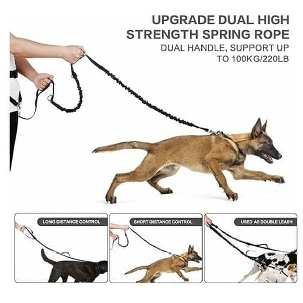 Hands-free dog leash, shock-absorbing, comfortable, with reflective stitching. Perfect for running, jogging, and walking. Off-grey.