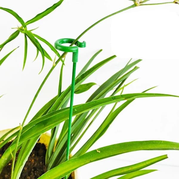 10 st Växtstöd Stolpe Blomma Växtpinnar Pinnar 37CM 10 ST 37cm 10 st