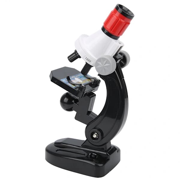 1200X High-Resolution Biological Microscope Kit for Children