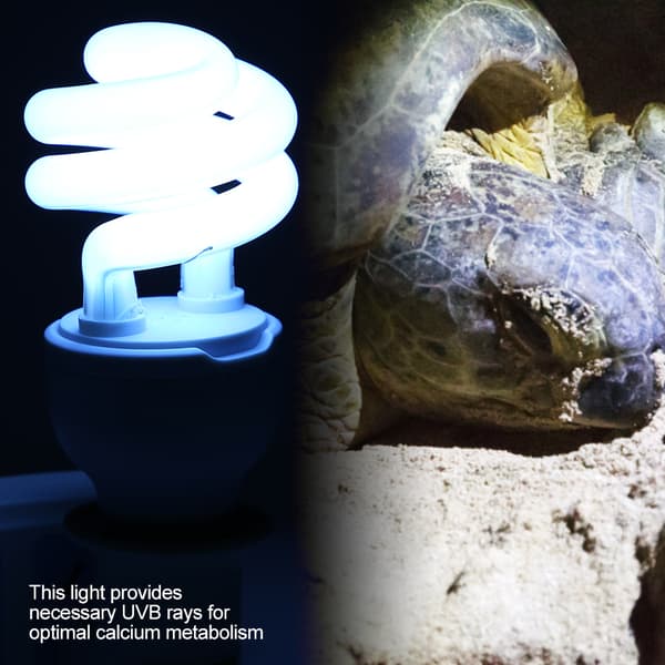 13W 220-240V Compact UVB 5.0-10.0 Sunlight Lamp for Lizards and Turtles