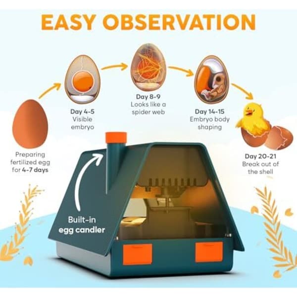 Automatic Chicken Egg Incubator with Turning and Humidity Control for 10 Eggs, Built-in Candler, Compatible with Okkobi
