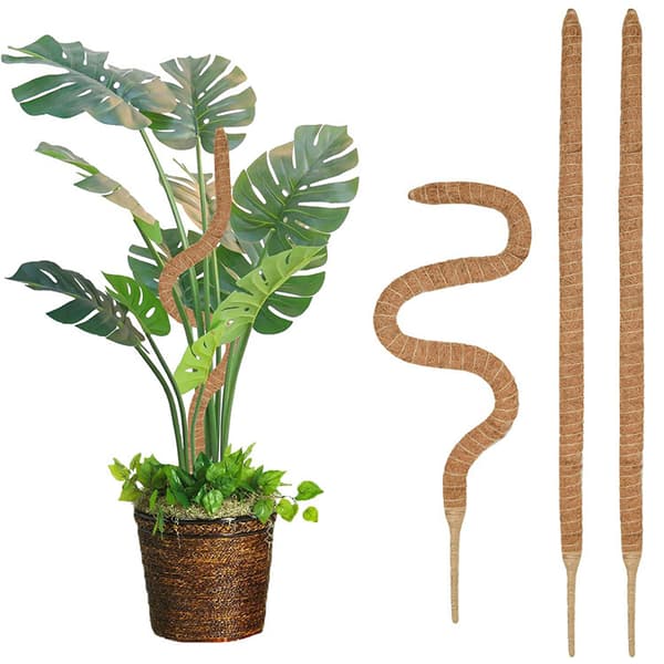 Monstera Moss Pole for Planter, 4-pakning Bøyelig Plantestøtte [JUN]
