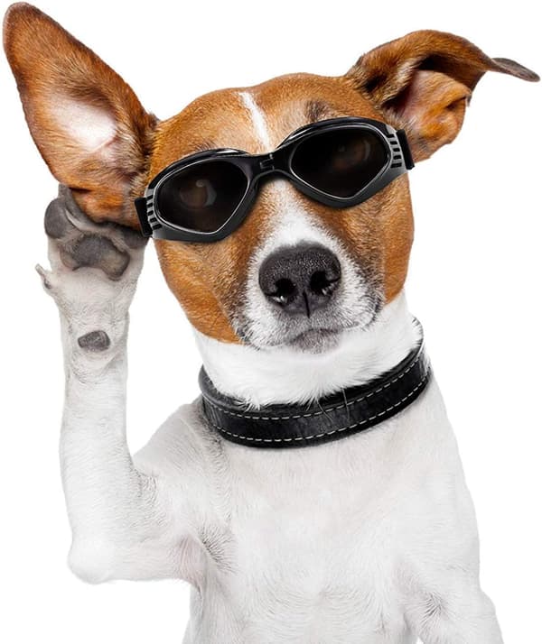 Hundebriller, solbriller til kjæledyr, sammenleggbare hundebriller UV-beskyttelse S