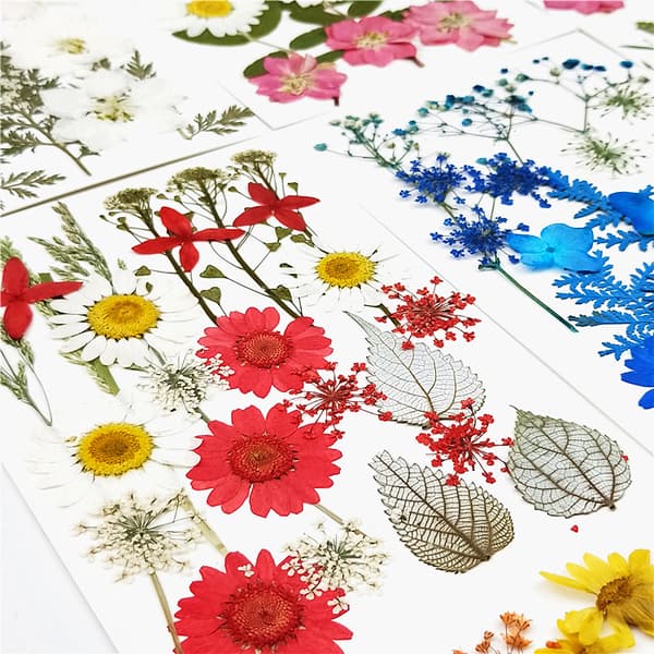 Natural Dried Flowers, 4 Sets Dried Bouquets, Floral Crafts, H