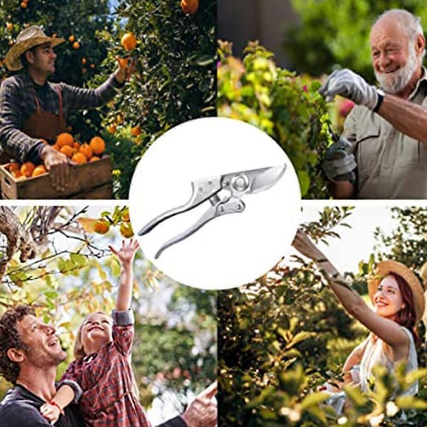 Professional Bypass Pruning Shears, Garden Tool Hand Pruner