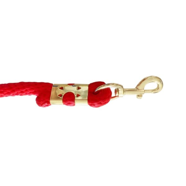 Horse Rope Training Leash with Trigger Bull Snap Cord Long Walking Leash