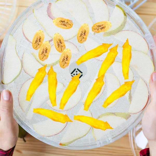 2 stk. dehydrator silikoneplade silikonemåtte til madtørrer rund non-stick lette hvide ark
