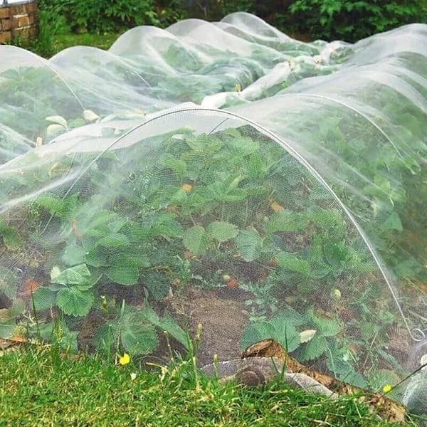 Fine Insect Net for Plants and Vegetable Garden, Garden Protection Net, 3m x 10m White