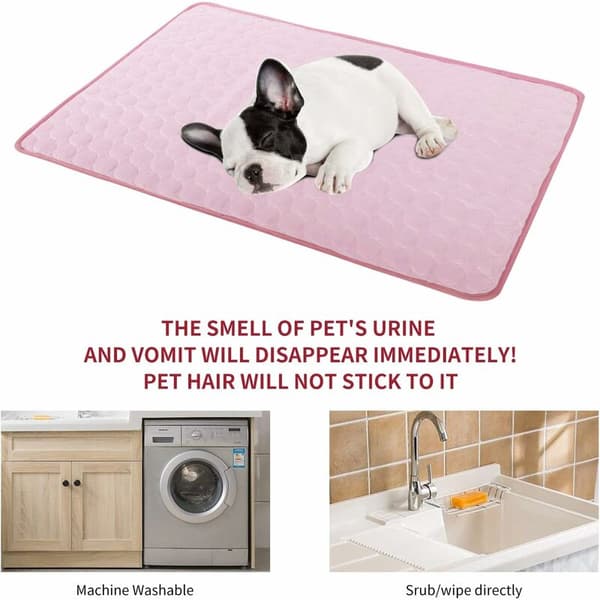 Cool Companion Pet Comfort Cooling Mat Bed Sovematte for hunder og katter-S