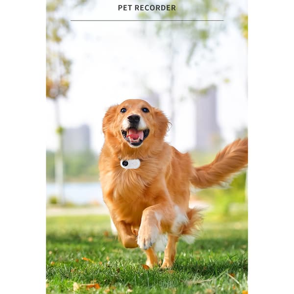 Pet Action Camera with 32 GB TF Card Black Vit