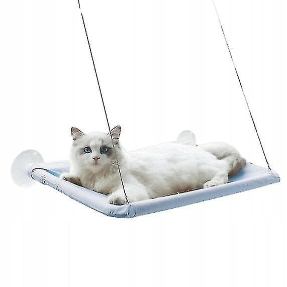 Katt Sugkopp Hängmatta Er Avtagbar Og Vaskbar