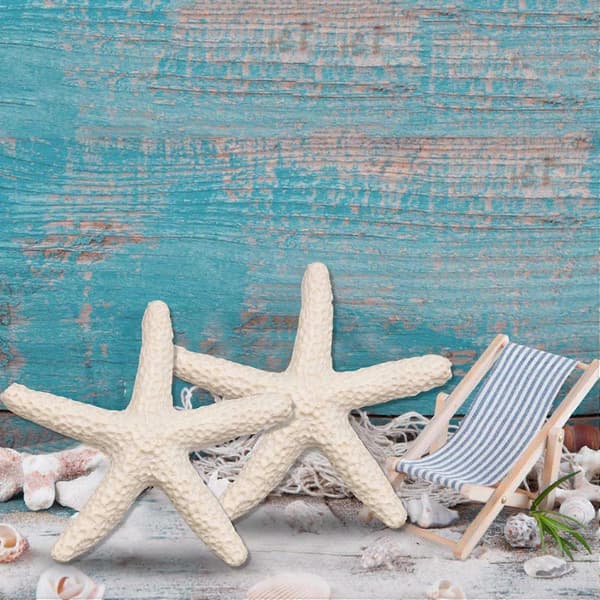 15 Pieces Creamy White Pen Shaped Starfish for Wedding Decoration, Home Decor and Craft Projects