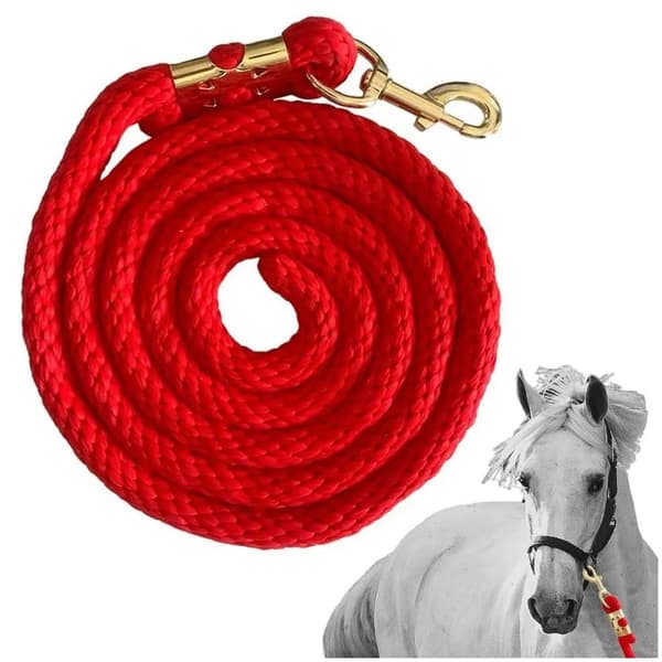 Horse Rope Training Leash with Trigger Bull Snap Cord Long Walking Leash
