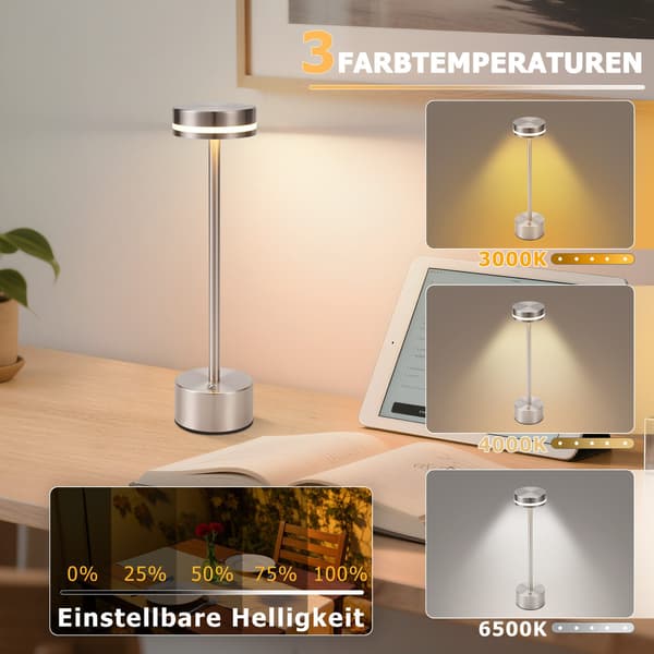 NETTLIFE Battery Operated Table Lamp, Cordless LED Table Lamp, 3000k-6500k Dimmable Bedside Lamp with USB-C, Silver Touch Lamp
