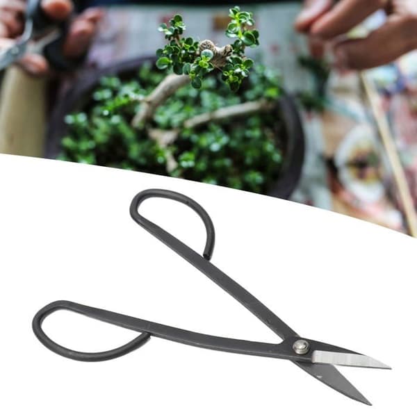 Bonsaisax - Stål - 1 styck - Precisionssax för trädgården - Blad med hög hårdhet - Amatörverktyg för blommor