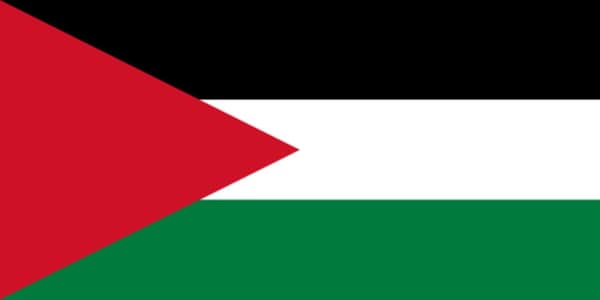 Palestina flagg-FA- 100 Palestina 100 Palestine