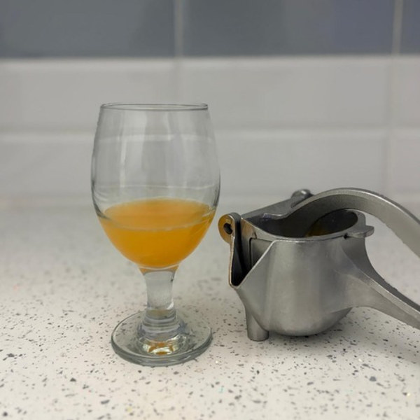 Robust Manuel Citruspresser i Rustfrit Stål