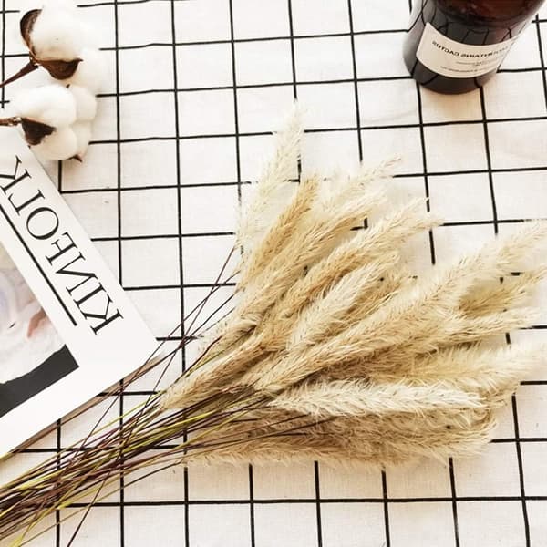 30 st/förpackning 40 cm konstgjort torkat pampasgräs boho stil heminredning