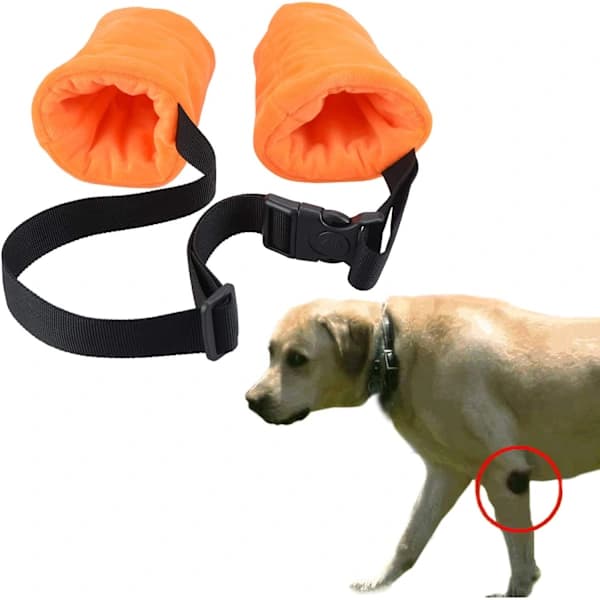 Wool Elbow Protectors for Dogs, Lined with Cotton Padding to Prevent Injuries. (Black) [DB]