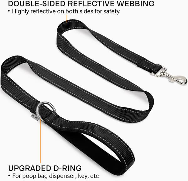 Reflective Leash for Dogs, Double-Sided, Thick, with Padded Handle