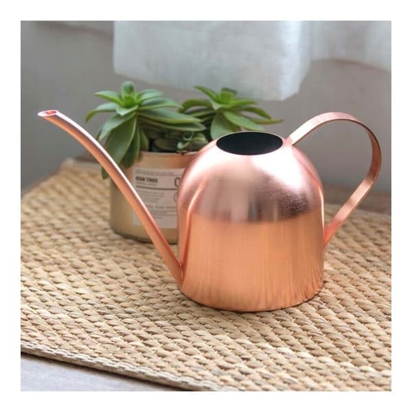 Vandkande i rustfrit stål til vanding af have, blomster og planter, 500 ml (A)